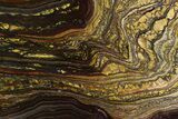 Polished Tiger Iron Stromatolite Slab - Billion Years #351905-1